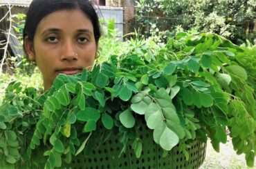 Healthy Food Drumstick Leaves Recipe | Village Style Cooking By Street Village Food