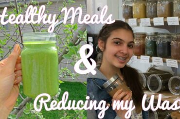 My Favourite Healthy Meals+How I Reduce My Waste