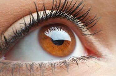 Top 15 Super Foods For Healthy Eyes