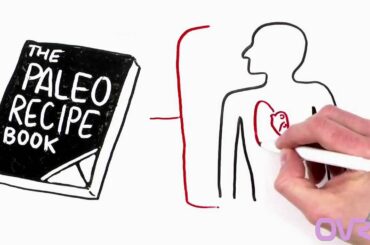 Healthy Food RECIPES *EASY RECIPES* OVER 300+ RECIPES