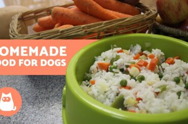 HOMEMADE FOOD for Dogs - Healthy food