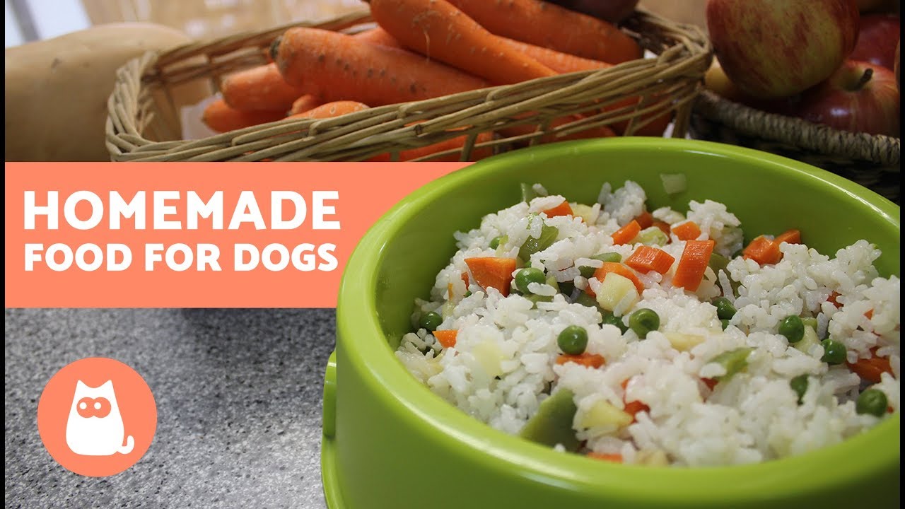 HOMEMADE FOOD for Dogs – Healthy food HOMEMADE FOOD for Dogs - Healthy food