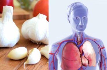 10 Super food and 10 more major diseases natural cures