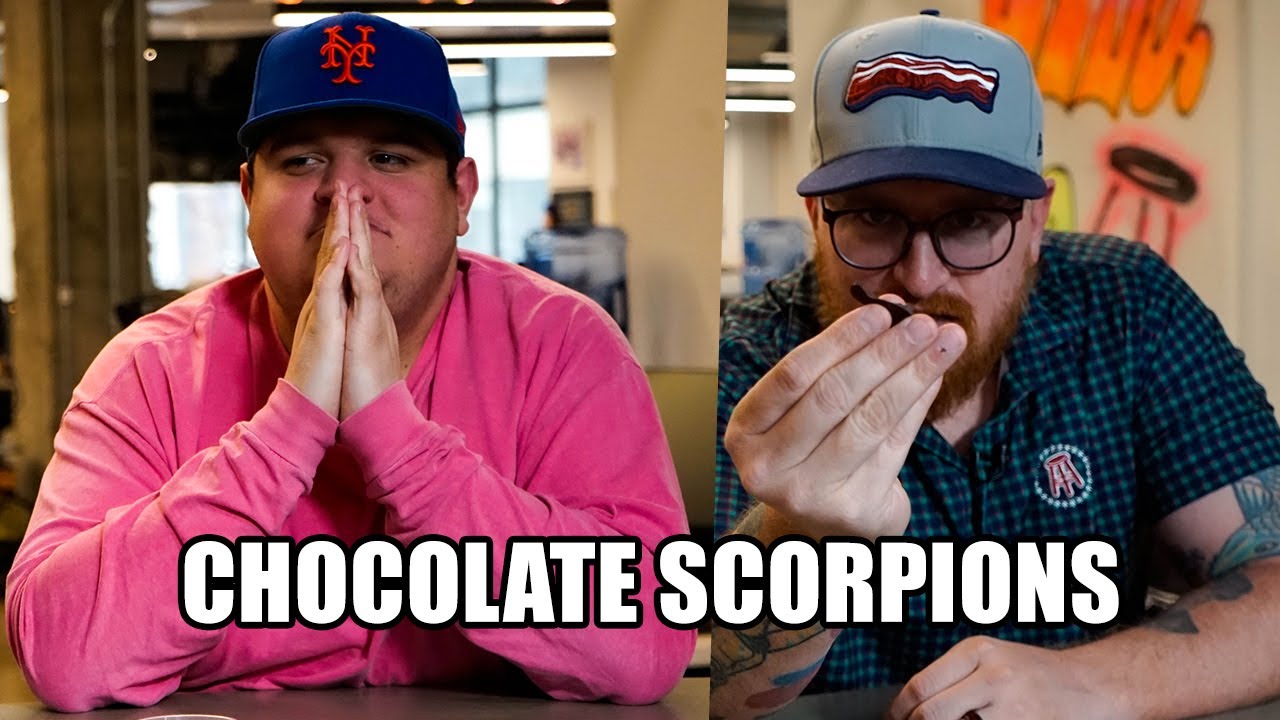 Barstool Sports Snacks on Scorpions Dipped in Chocolate Barstool Sports Snacks on Scorpions Dipped in Chocolate