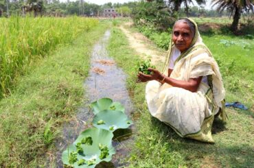 Thankuni Pata Bata Recipe | Grandmother Natural Food Recipes | Healthy Village Food