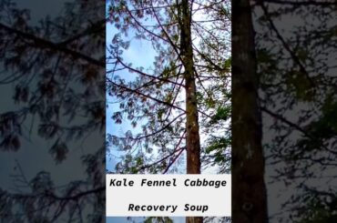 Kale Fennel Cabbage Recovery Soup
