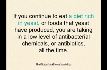 Yeast Free Diet | Healthy Recipes