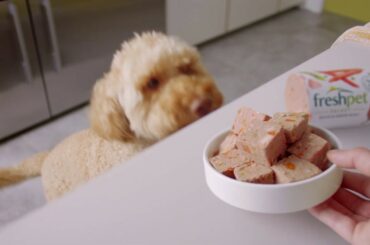 Healthy Meals Happy Dogs | Freshpet UK Commercial :30