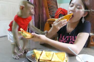 Mom Make Veggie Sandwiches To Eat With Dodo