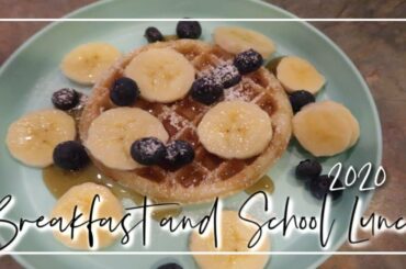 2020 BREAKFAST AND SCHOOL LUNCH IDEAS | RAISINGHALO