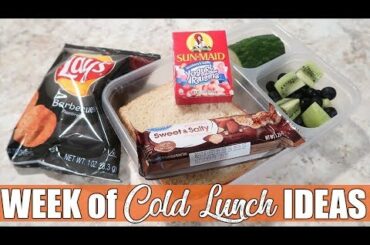 Budget Friendly Cold Lunch Ideas for Work or School | Variety Fun Snack Box
