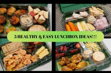 HEALTHY & EASY LUNCHBOX IDEAS FOR TODDLERS & KIDS!!!