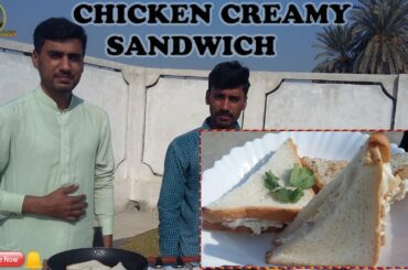 CHICKEN CREAMY SANDWICH RECIPE|MKZIH VLOGS|IRFAN KANJOO
