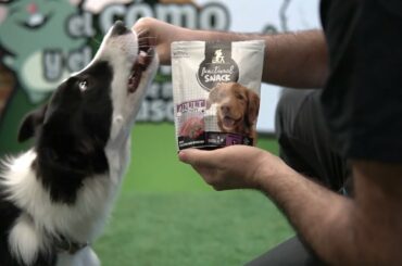 ERA: Delicious and healthy snacks for dogs