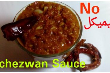 Homemade Schezwan Sauce | Schezwan Sauce Recipe | How To Make Schezwan Sauce | Healthy Food Kitchen