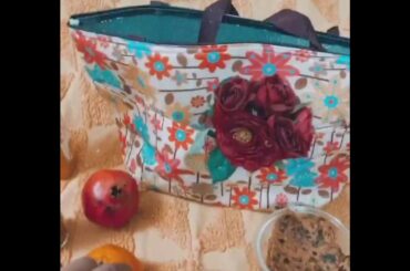 Pranoti’s Pick For Healthy Lunch Carrier, LunchBag by LunchBoss