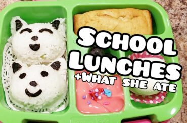 School lunches - Bento styled lunches - Bella Boo's Lunches