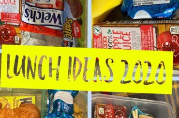 Realistic Lunch Ideas for Picky Eaters in 2020