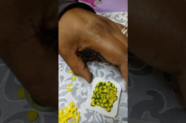 DIY Miniature Zucchini Squash 2 of 2