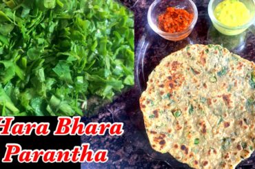 हरा भरा परांठा । Healthy Leafy Parantha | Healthy Recipes | Mix Veg Parantha| Ayushi Jain Bansal