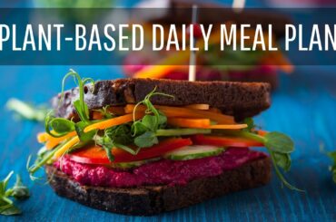 NUTRITIONIST'S WHAT I EAT IN A DAY | Healthy Plant-Based Meal Ideas + Recipes