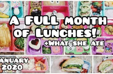NEW!! Just the lunches - ALL of January's Lunches +What she ate - Bella Boo's Lunches