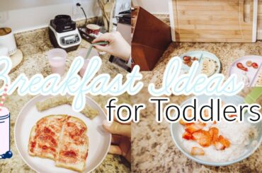 BREAKFAST IDEAS FOR TODDLERS | BREAKFAST FOR PICKY TODDLERS | EGG FREE BREAKFAST