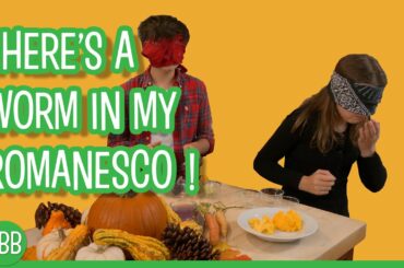 THERE'S A WORM IN MY ROMANESCO!