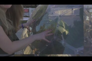 Meet the 'Top Chef' bringing delicious dinners to domes