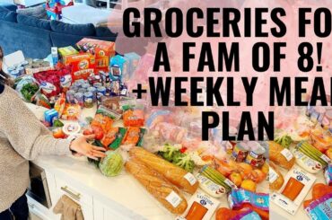 Groceries + meal plan for family of 8! +TONS of affordable grocery tips!