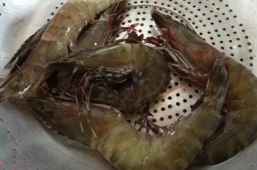 A Good Lunch On Shai And Ronnie Place