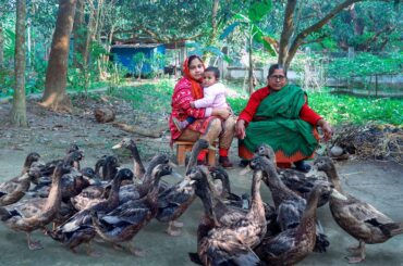 14 Duck & Rice Roti Cooking Recipe for Kids by Village Food Life