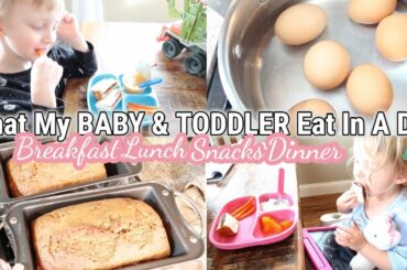 WHAT MY BABY+TODDLER EAT IN A DAY | Breakfast, Lunch, Snacks, Dinner