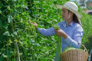 Fresh & Healthy Beef Salad with Long Beans Recipe - Natural Life Cooking