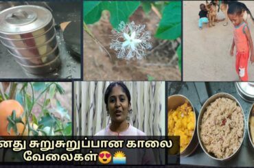 Food packed for my husband lunch box || My busy morning routine starts @ 4 am || Shop 101