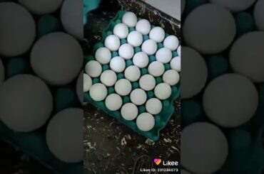 Easy sandwich recipe আপনাদের জন্য