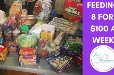 FEEDING 8 PEOPLE ON $100 A WEEK - WAS IT REALISTIC?