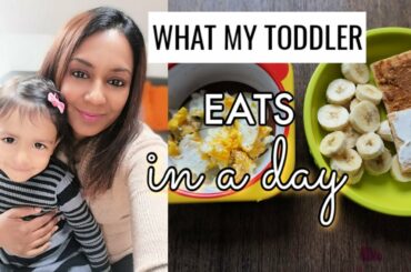 WHAT MY 2 YR OLD TODDLER EATS IN A DAY | Breakfast| Lunch| Snack| Dinner meal ideas