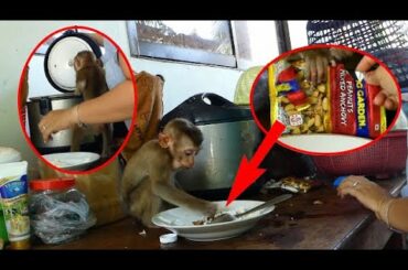 Healthy lunch for Baby Boom today with small fish snack / Boom eat like a human #0078