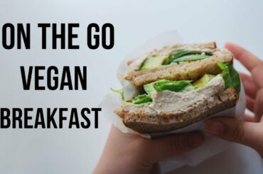 Grab and Go Breakfast Ideas! (vegan)