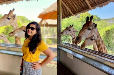 জিরাফকে খাওয়ানোর অভিজ্ঞতা || Marine Park Bangkok || #BanglaVlog