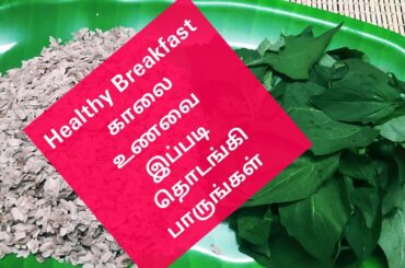 ஆரோக்கியமாக!!! இதனுடன் உங்கள் காலை உணவை தொடங்குங்கள்| Healthy Iron Rich Breakfast Recipe