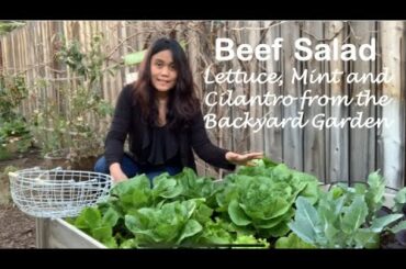 Nam Tok -  A Perfect Weeknight Dinner With Lettuce, Mint and Cilantro from the Backyard Garden