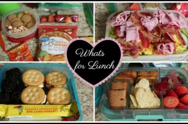 A week of lunches | Lunch Ideas for everyone!