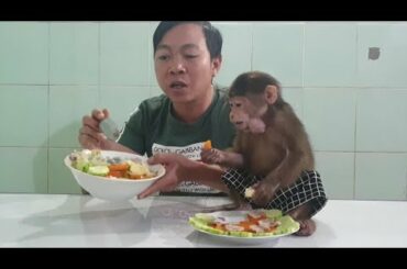 Daddy Prepares A Delicious Lunch For Monkey Doo