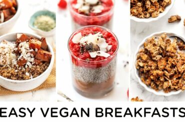 MEAL PREP VEGAN BREAKFAST RECIPS ‣‣ healthy make ahead meals