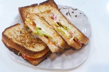 Vegetable And Mayonnaise Sandwich Recipe |  Vegi Mayo Sandwich |  Easy & Quick Mayo Vegi Sandwich |