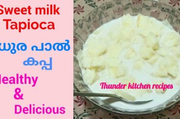 Sweet Milk Tapioca ll Healthy Evening Snack Recipe in Malayalam 👌