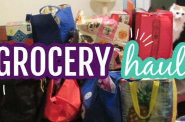 MASSIVE MONTHLY GROCERY HAUL + Lots of meal & snack ideas! // I spent $500, so this better last!