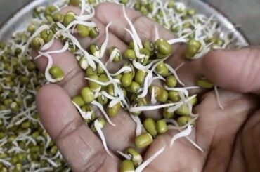 2 in 1 healthy and diet  recipe | Green gram sprouts salad and green gram soup in tamil